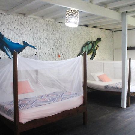 Refugio Mr Jerry Eco House Hotell Bahia Solano Eksteriør bilde